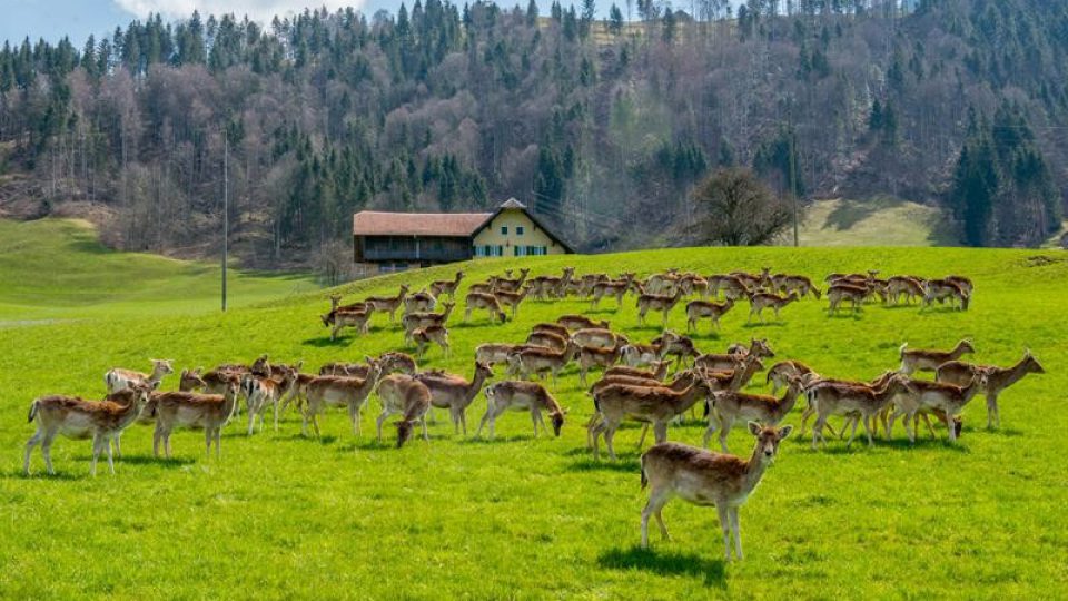 800x600_entlebuch1