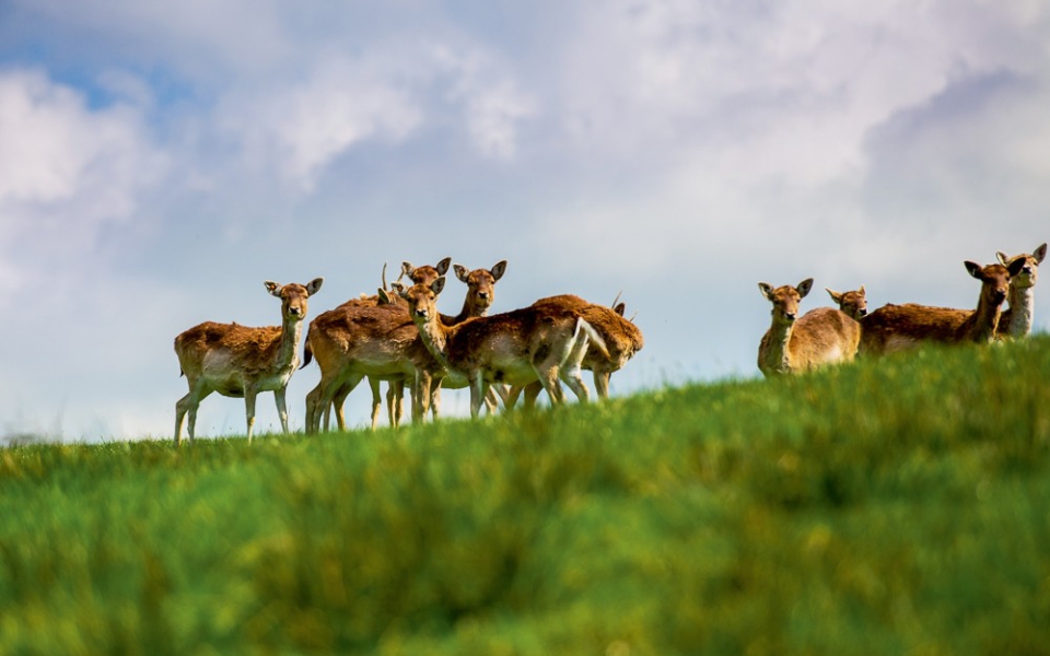 summer15_discovery_entlebuch-5