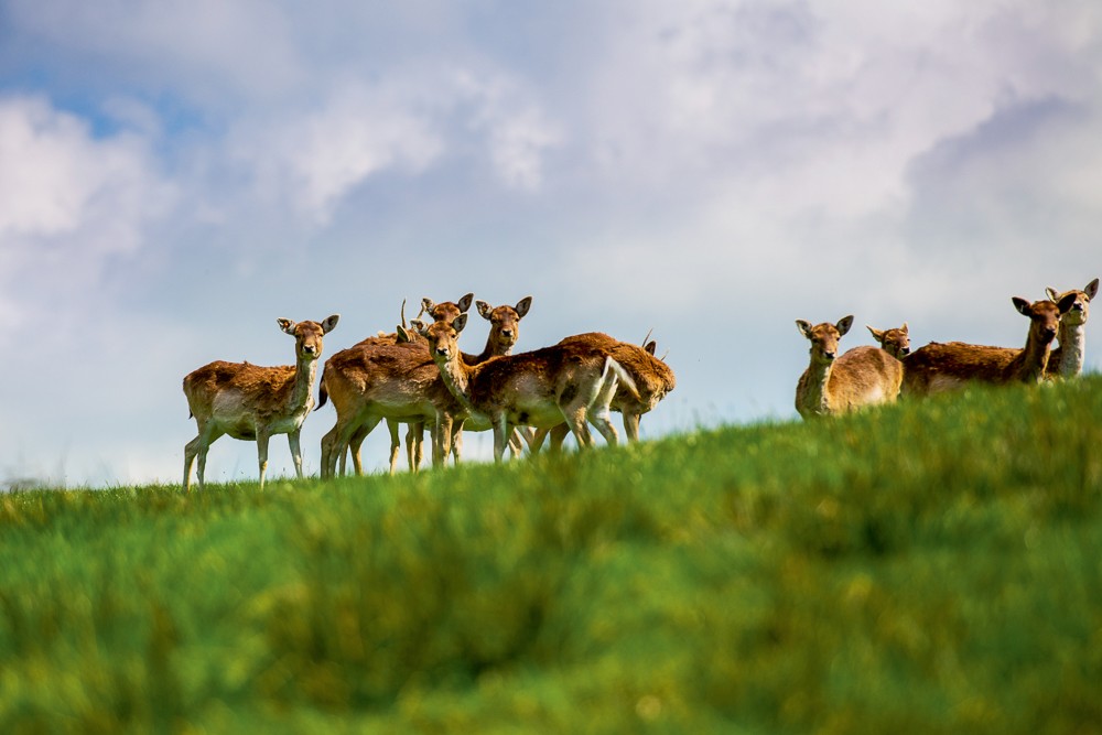 summer15_discovery_entlebuch-5